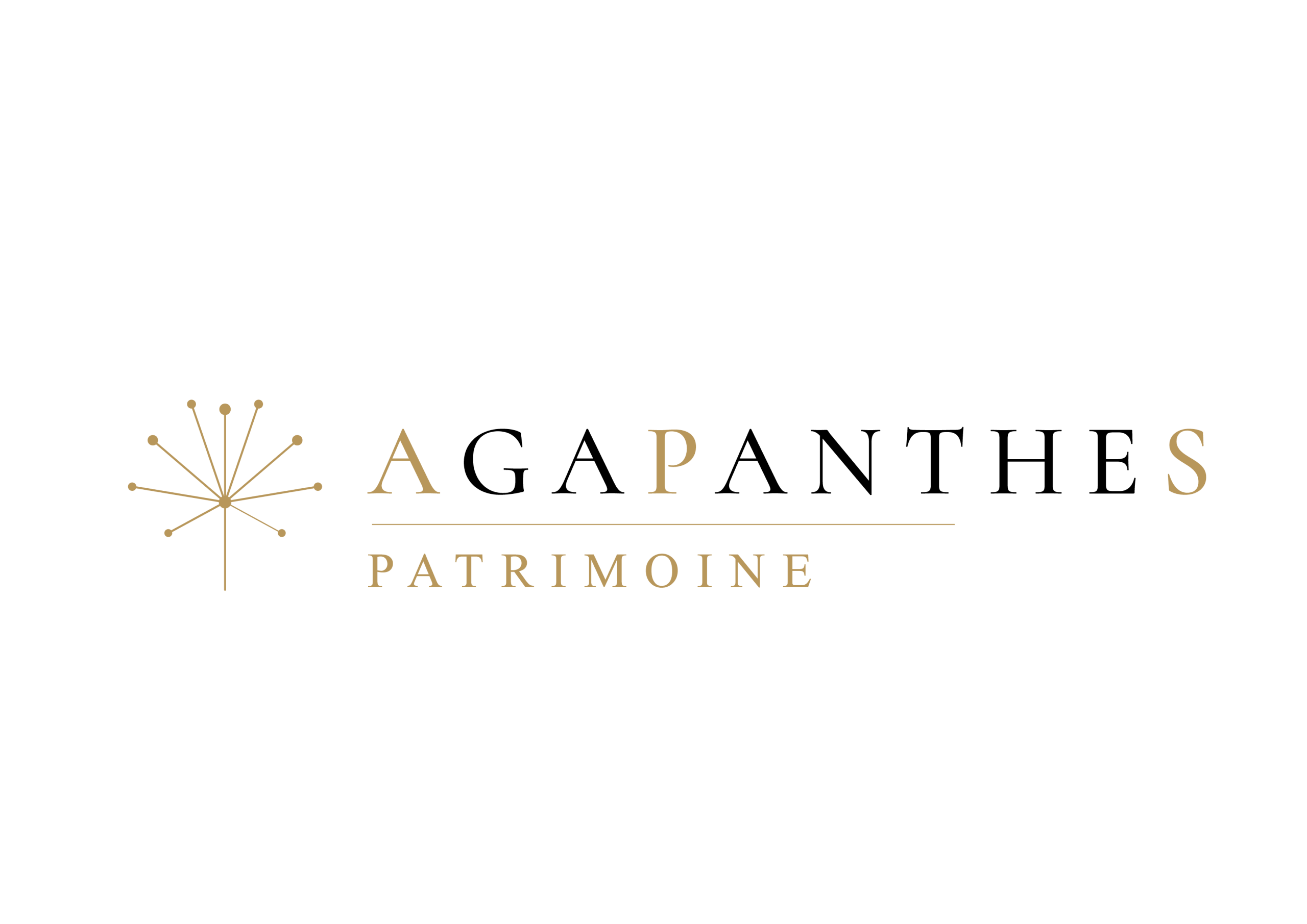 Agapanthes Patrimoine